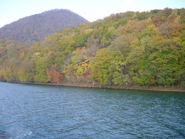 tr0110-11m.jpg