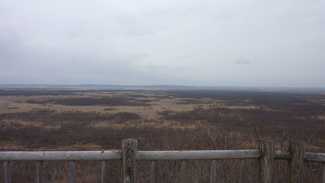 21_marsh_west.jpg
