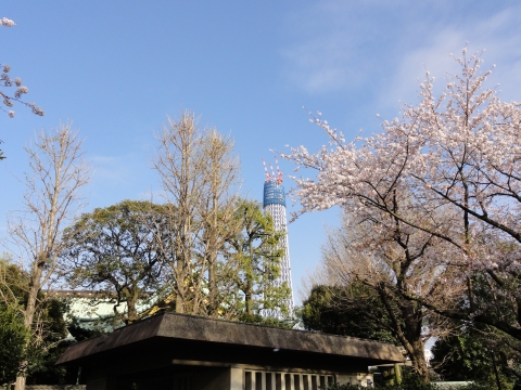 100410_skytree3.jpg