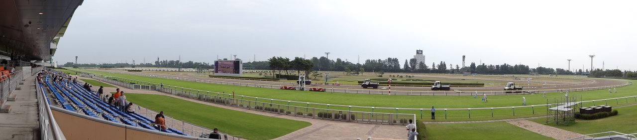 niigata_horserace.jpg