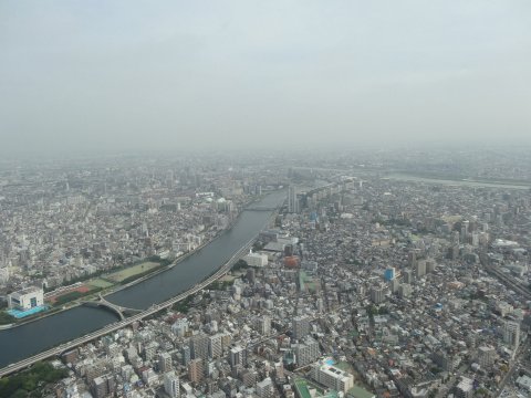 skytree_north.jpg