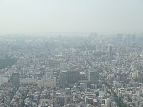 skytree_south.jpg