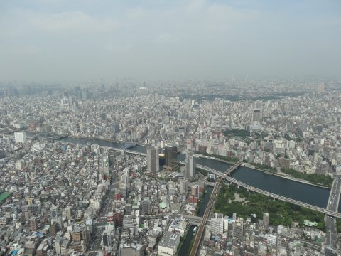 skytree_west.jpg